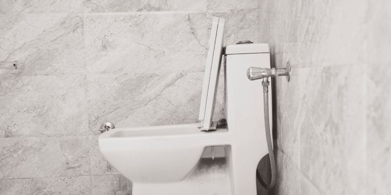 Como Desentupir Vaso Com Caixa Acoplada? Dicas para desentupir vaso com caixa acoplada